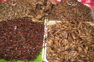 Insektenbuffet am Markt in Thailand.